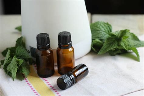 Reasons To Start Using Peppermint Essential Oils Reasonsto Com Au