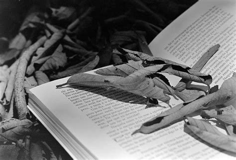 Exploring the Depths of Fantasy: A Millennial's Guide to Magic, Myth