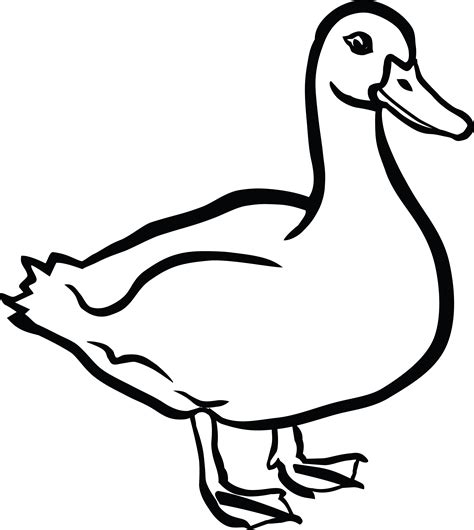 Free Clipart Of A Duck