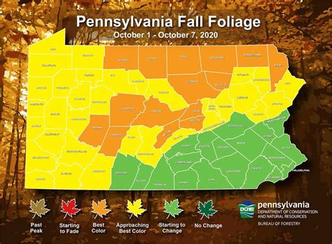No predictive tool is 100 percent accurate, but using the newly released interactive 2020 fall foliage prediction map can give you a pretty good shot at seeing autumn. Pennsylvania Fall Foliage 2020: When To See Fall's Best Colors