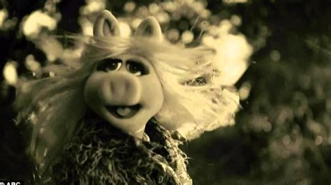 Miss Piggy Wallpapers 60 Images