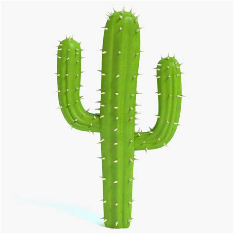 Cartoon Cactus 2 3d Model 10 Obj Fbx Dae Blend 3ds Free3d