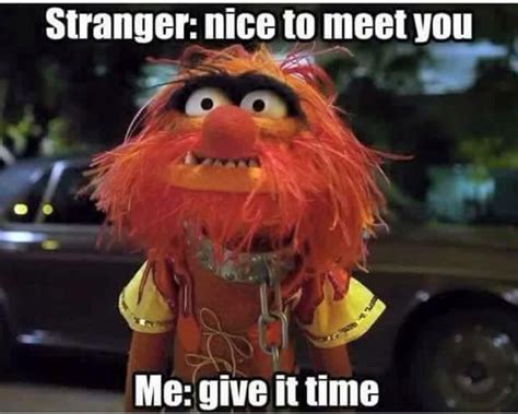 48 Best Images About Animal Muppet Quotes On Pinterest Lol Funny