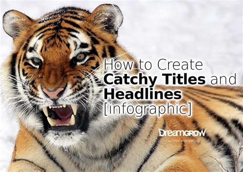 How to Create Catchy Titles and Headlines [infographic] - Dreamgrow