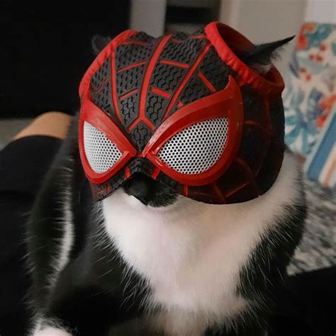 3d Printed Spider Cat Miles Morales Mask・cults