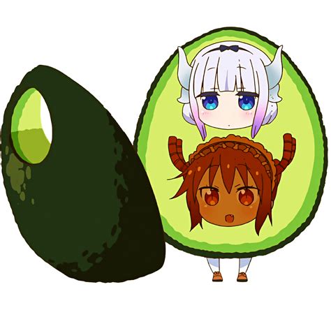 Transparent Dragon Avocado For All Your Transparent Dragon Avocado Needs Miss Kobayashis