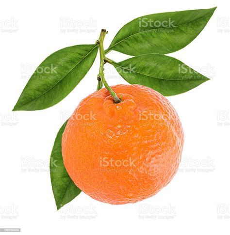 Mandarin Tangerine Citrus Fruit With Leaf Isolated On White Stock Photo