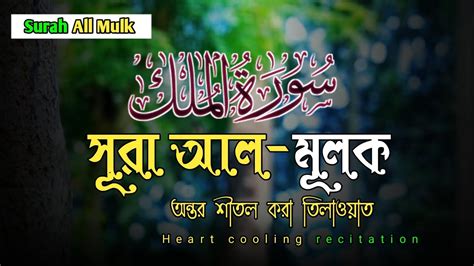 Surah Mulk Quran Recitation