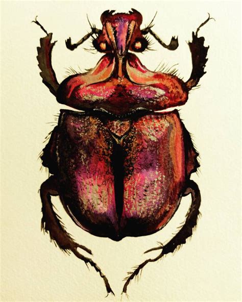 Original Watercolour Beetle Painting Etsy