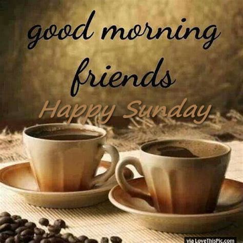 Good Morning Friends Happy Sunday Pictures Photos And Images For