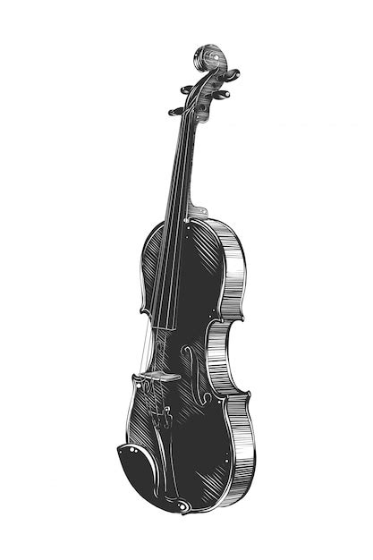 Hand Drawn Sketch Of Violin In Monochrome Vector Premium Download