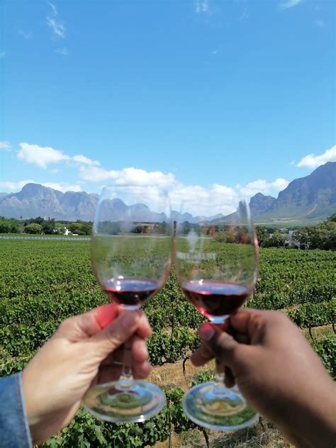 Full Day Franschhoek Hop On Hop Off Wine Tram Tour From Cape Town