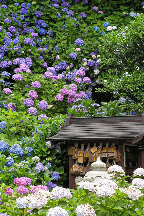Incredible Beautiful Garden Design Ideas For Your Backyard Elisabeth