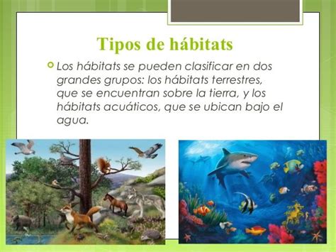 Ppt HÁbitat Clase 1 Habitats Spanish Teacher Activities