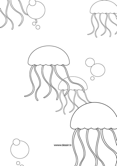 Home/water world coloring pages/jellyfish coloring page. Coloring jellyfish