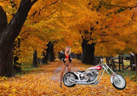 48 Harley Screensavers And Wallpaper Girls On