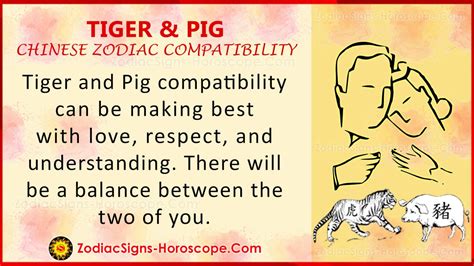 Tiger And Pig Chinese Zodiac Compatibility Love And Relationship Zsh