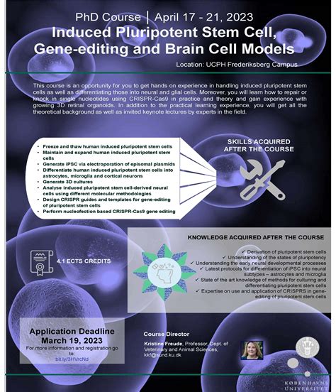 Induced Pluripotent Stem Cells Gene Editing And Brain Cell Models University Of Copenhagen