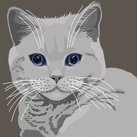 Grey Cat Stock Illustrations 15285 Grey Cat Stock Illustrations
