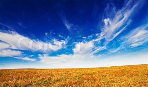 Mown Field Of Wheat And Amazing Blue Stock Image Colourbox