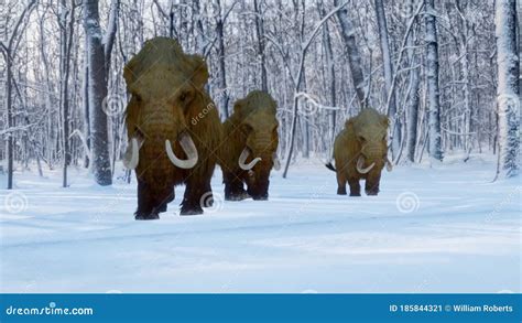 Woolly Mammoth Herd Walking In Snowy Forest Animation Stock Video