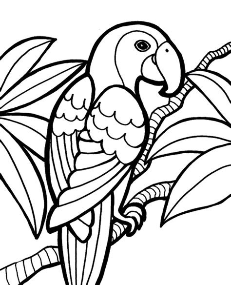 Parrot Printable Printable Word Searches