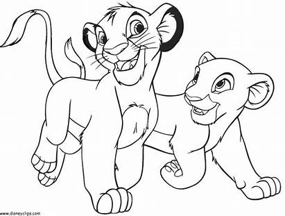 Coloring Pages Lions Lion Printable Animal Popular