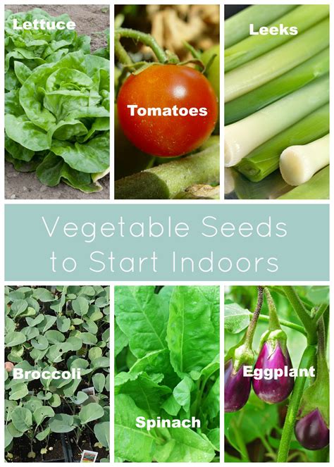 When to start vegetable, herb and flower seed, indoors and in the garden. Planting a Garden: Starting Seeds Indoors | EiEiHome