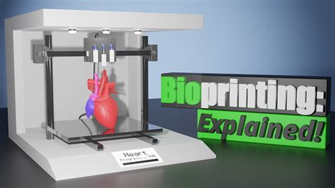 What 3d Bioprinting Is And How It Works Youtube