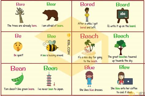 300 Cool Examples Of Homophones In English From A Z 7esl