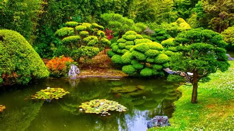 Japanese Gardens Wallpaper 77 Images