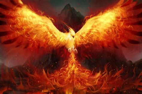 The Phoenix Rising Unveiled Miracles