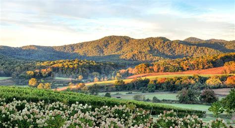 Top Charlottesville Va Attractions Historical Sites And Wineries