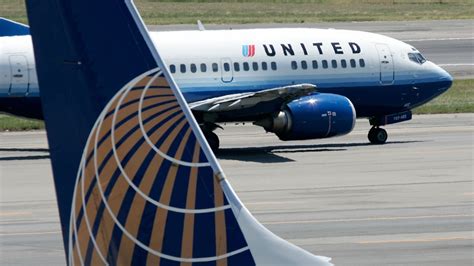 Scorpion Falls From Overhead Bin Stings Passenger On United Airlines