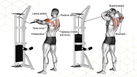 The Best Cable Rear Delt Exercises Fitness Volt