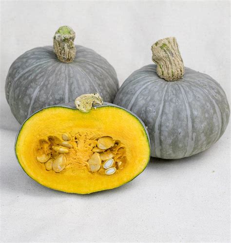 Shokichi Green Mini Kabocha Squash Seeds West Coast Seeds