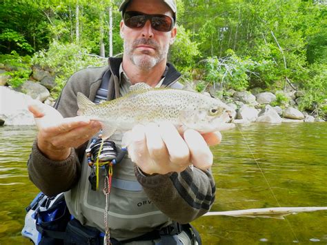 First Cast Fly Fishing Fly Fishing New Hampshire Mad River