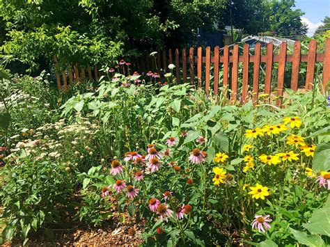 Landscaping With Colorado Native Plants Conference