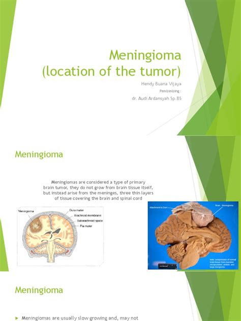 Symptoms Of Meningiomas Based On Tumor Location Pdf Human Brain