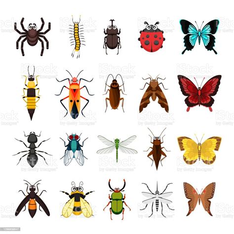 Ilustración De Conjunto De Insectos Especie De Animal Colección