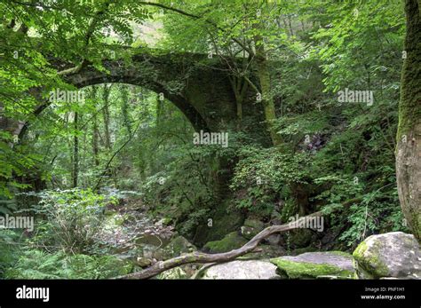Moss Covered Bridge High Resolution Stock Photography And Images Alamy