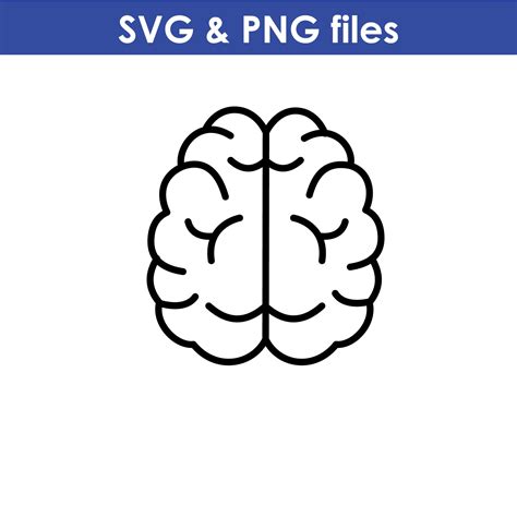 Brain SVG Brain PNG Brain Clipart Brain Cut File Brain | Etsy