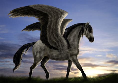 Pegasus By Porceliandoll On Deviantart