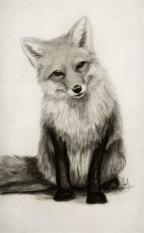 It offers a closer look at drawing animal eyes and whiskers among other features of your feline friends. Fox Say What?! Art Print … (With images) | Pencil drawings ...