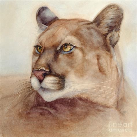 Male Cougar Painting By Bonnie Rinier Fine Art America