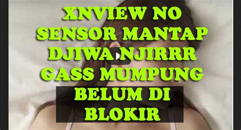It is an application that is download free in any android mobile. Xnview Indonesia 2019 Apk - Download BUSSID Mod Apk v2.9 ...