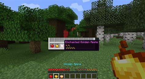 20 Best Minecraft Hud Mods You Must Try 2022 Beebom