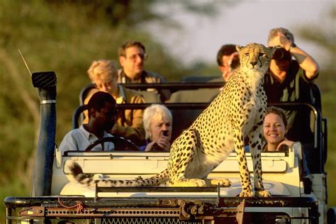 The Best African Safaris 10 Countries To Add To Your Bucket List International Expeditions