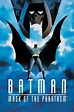 Batman La Mascara Del Fantasma- Vhs- 1er Largometraje Animado ...