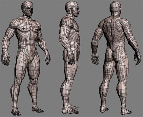 Realistic Male Body 3d Max 3d Model Character Topology Character Modeling